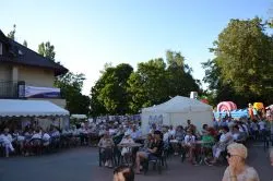 Koncerty Katarzyny Chęsy