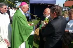 Dożynki Diecezjalne w Grzybnie
