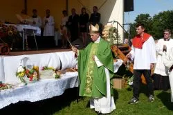 Dożynki Diecezjalne w Grzybnie