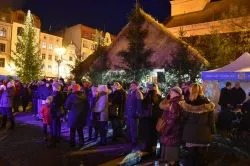 Wigilia miejska w Toruniu