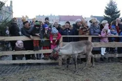Orszak Trzech Króli w Golubiu-Dobrzyniu