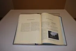 Czytanie Biblii w Karmelu