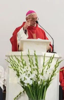 Marsz dla życia i rodziny w Działdowie