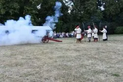 Zamkowy Festyn Niepodległościowy
