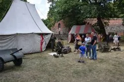 Zamkowy Festyn Niepodległościowy