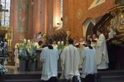 Święto patronalne katedry