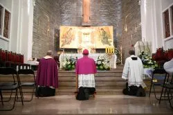 Uroczystość Matki Bożej Nieustającej Pomocy