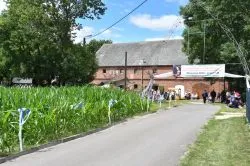 Koronacja wizerunku Matki Bożej Brzemiennej w Chełmoniu