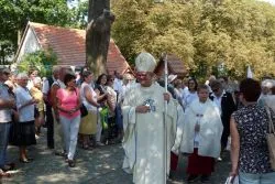Diecezjalna Pielgrzymka Żywego Różańca do Lisewa