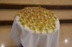 Nowi lektorzy