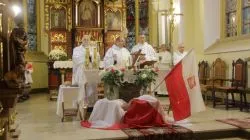Obchody 100. rocznicy odzyskania niepodległości - Działdowo