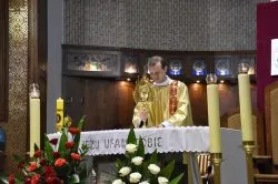 Niedziela Miłosierdzia