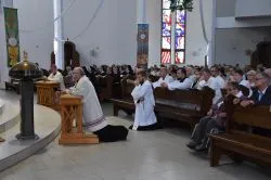 Obchody ku czci Matki Bożej Nieustającej Pomocy