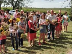 Uroczystość Matki Bożej Zielnej w Wardęgowie