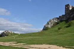 Pielgrzymka czytelników Niedzieli