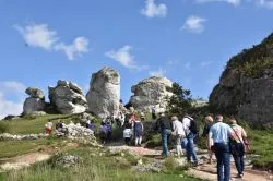 Pielgrzymka czytelników Niedzieli