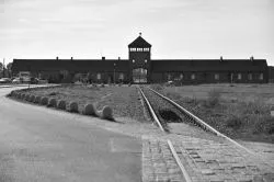 Pielgrzymka czytelników Niedzieli