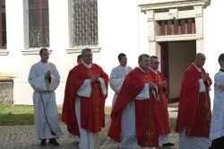 Margaretka w toruńskim WSD