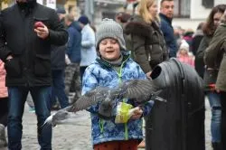 Święto Niepodległości 2019