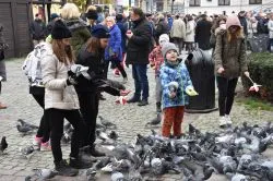 Święto Niepodległości 2019