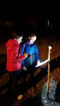Droga Krzyżowa Miłosierdzia w Brodnicy
