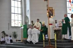 Udzielenie posługi lektoratu stałego
