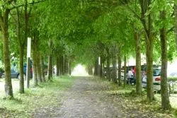 Odpust w Lipach - dzień pierwszy