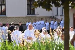 Obchody ku czci Matki Bożej Nieustającej Pomocy