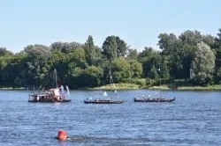 Flis św. Jakuba