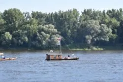 Flis św. Jakuba