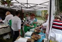 Dożynki wojewódzko-diecezjalne