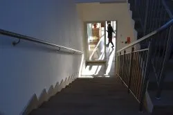 Dom 