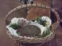 Święty Izydorze – wspieraj pracę rąk naszych!