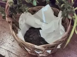 Święty Izydorze – wspieraj pracę rąk naszych!