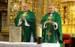 Odpust w Lipach 2022 - Msza dla chorych