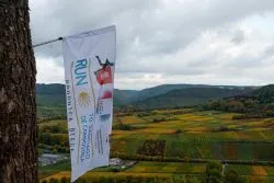 Run to Santiago - dzień czwarty
