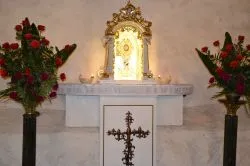 Odpust ku czci bł. Stefana W. Frelichowskiego