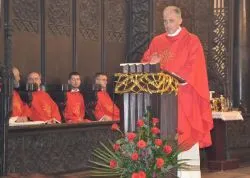 Odpust ku czci bł. Stefana W. Frelichowskiego