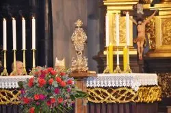 Odpust ku czci bł. Stefana W. Frelichowskiego