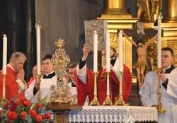 Odpust ku czci bł. Stefana W. Frelichowskiego
