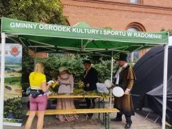 Odpust w sanktuarium św. Jakuba
