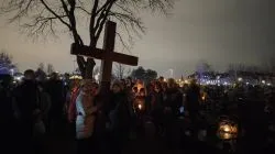 Droga Krzyżowa ulicami Wrzosów