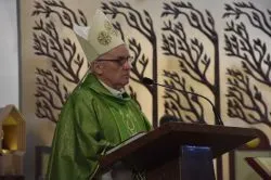 Posługa lektora stałego