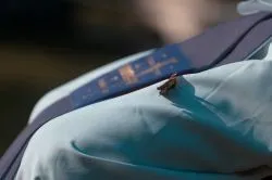 Diecezjalne Dni Młodzieży w Hartowcu II część
