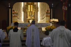 Zakończenie Roku Eucharystii